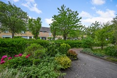 Tormentil 5, 1902 JM Castricum - Tormentil 5 Castricum De Groot 1.JPG